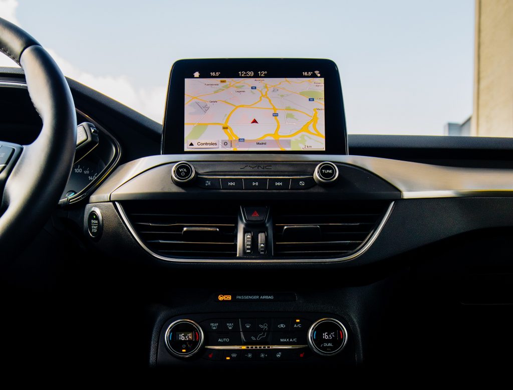 viajar con perro en coche